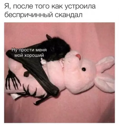 Когда осознала, что перегнула палку 🦇💗 - Я, после того как устроила беспричинный скандал. Ну прости меня