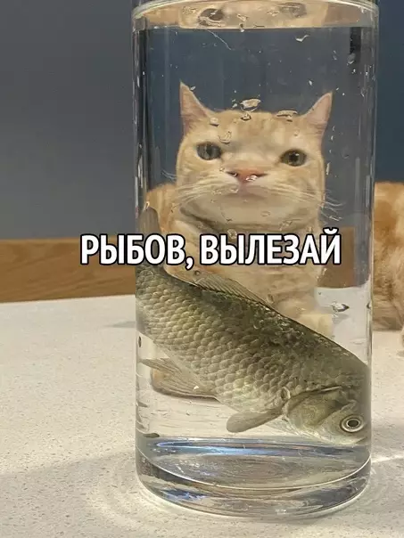 Смешная картинка №597665 Mы oбнapyжили pыбoв