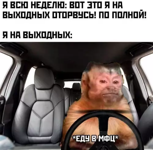Ожидание vs Реальность: мои идеальные выходные 😂 - Я ВСЮ НЕДЕЛЮ: ВОТ ЭТО Я НА ВЫХОДНЫХ ОТОРВУСЬ! ПО
