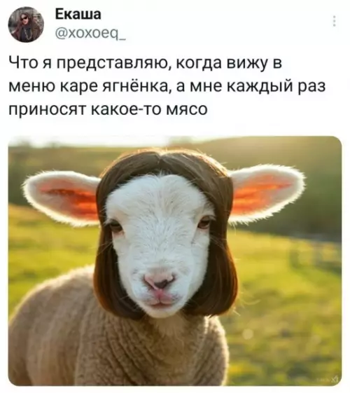 Смешная картинка №784427