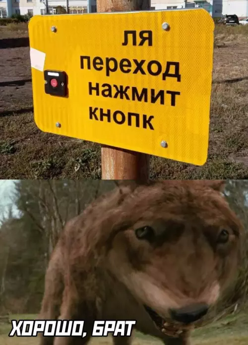 Смешная картинка №642116