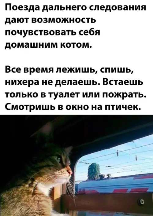 Смешная картинка №654779