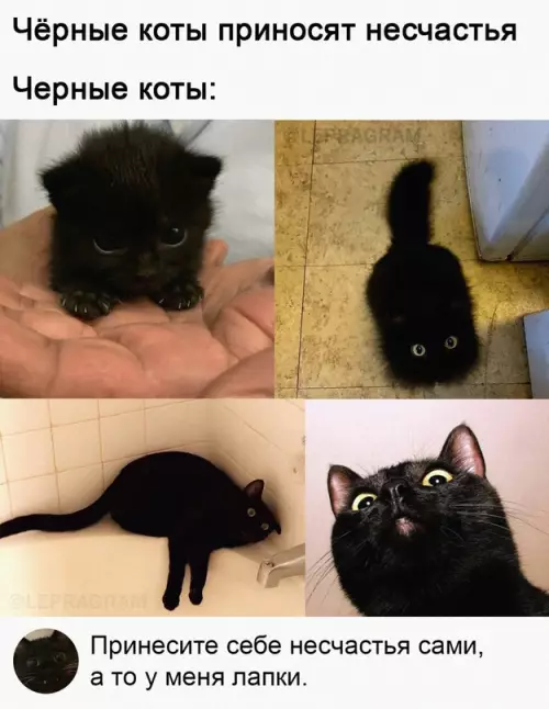 Смешная картинка №661650