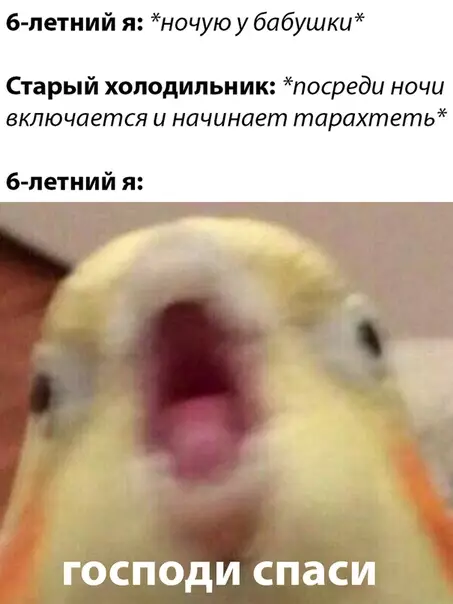 Смешная картинка №483163