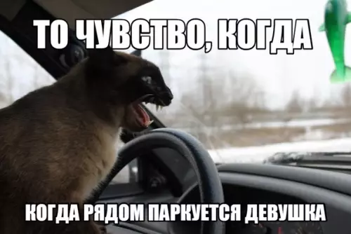 Смешная картинка №285667
