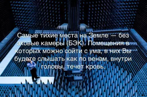 Смешная картинка №194330