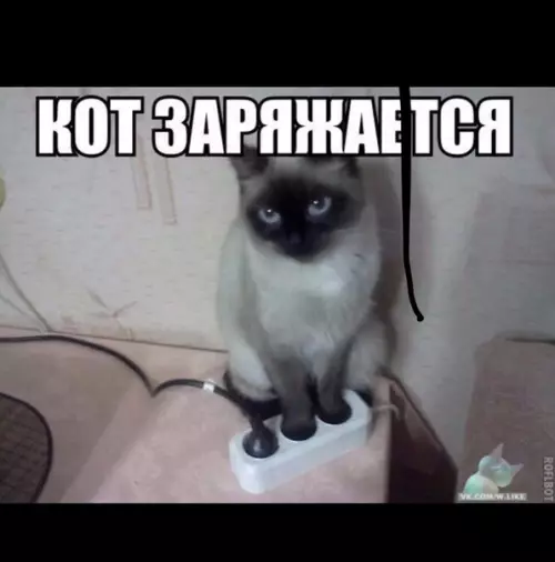 Смешная картинка №332982
