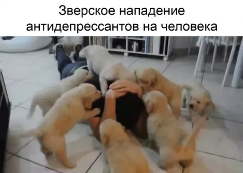 Смешная картинка №383623