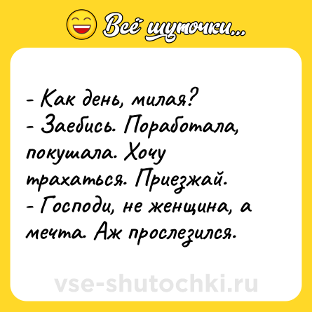 Шутка: - Как день, милая?<br>- Заебись. Поработала, покушала. Хочу трахаться. Приезжай.<br>- Господи, не женщина, а мечта. Аж прослезился.