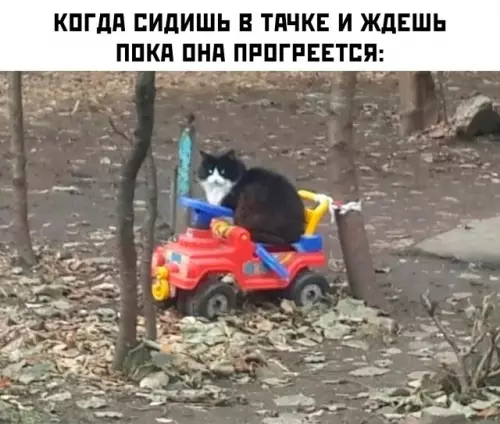 Смешная картинка №786032