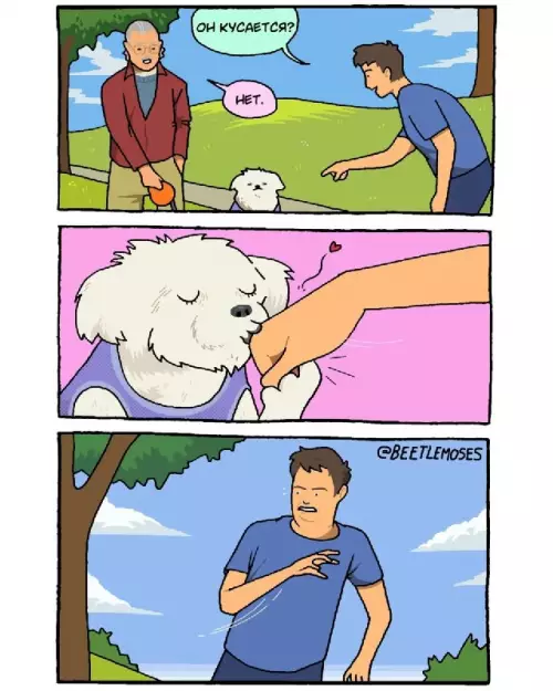 Когда не поверил владельцу 🐶😂 - ОН КУСАЕТСЯ? НЕТ.