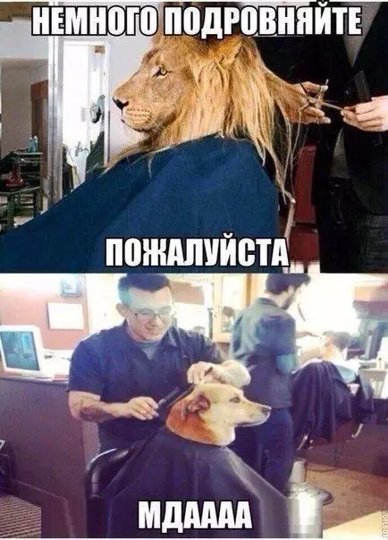 Смешная картинка №271096