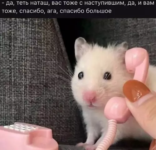 Смешная картинка №669983