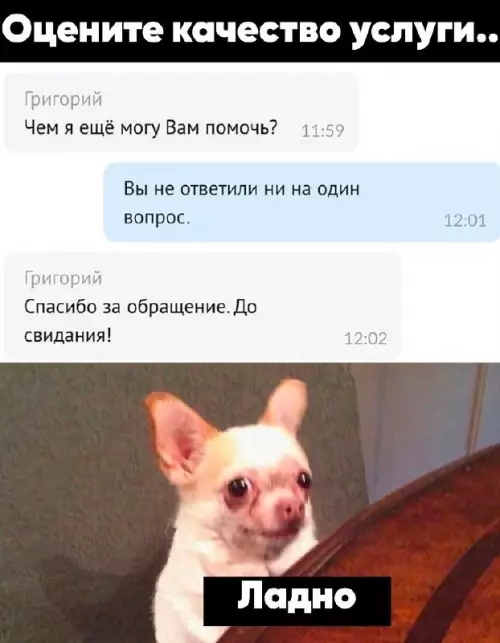 Смешная картинка №688591 Переписка, техподдержка 