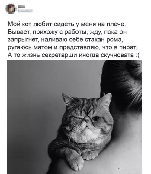 Смешная картинка №544497 Жизнь пocлe paбoты