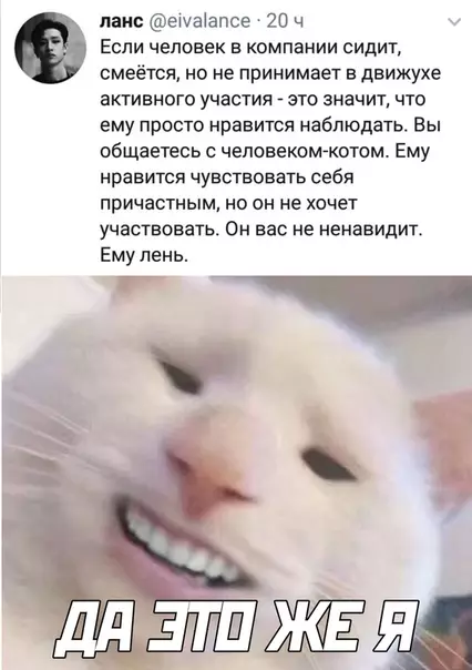 Смешная картинка №504648