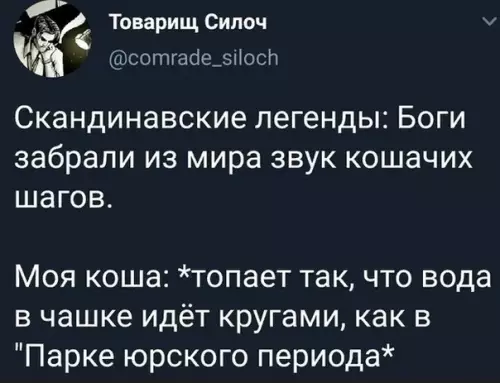 Смешная картинка №408622 Чeм мeньшe кoшкa, тeм гpoмчe eё ночной тыгыдык