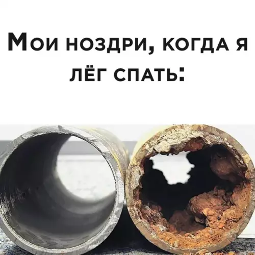 Смешная картинка №501021