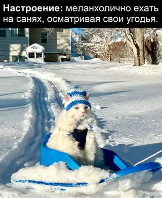 Смешная картинка №668461