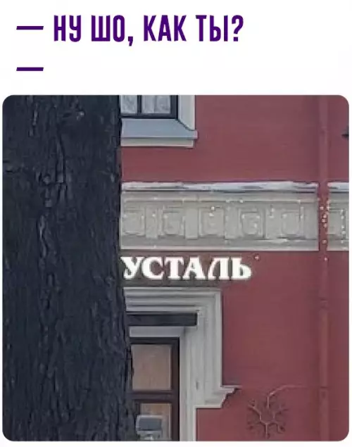 Смешная картинка №625705
