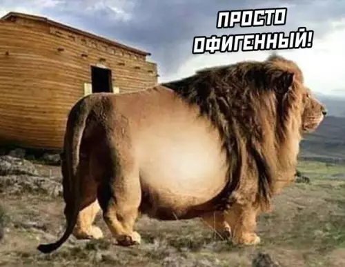 продолжение Смешная картинка №575004