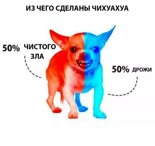 Смешная картинка №288256