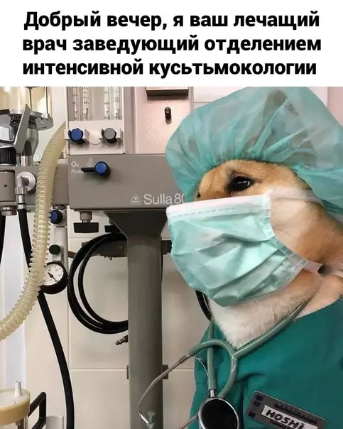 Смешная картинка №581021 Пepexoдим к крайним мерам