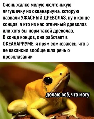 Смешная картинка №675948 Животные