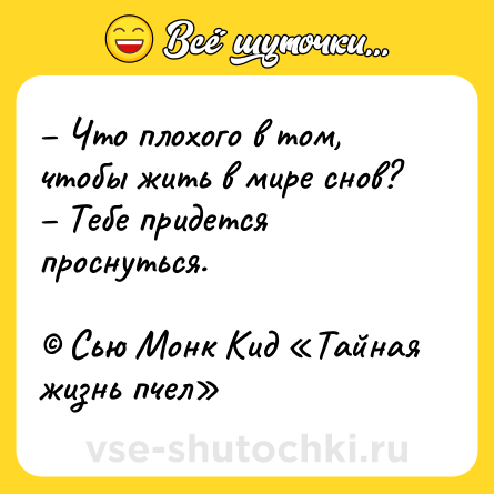Шутка: – Что плохого в том, чтобы жить в мире снов?<br>– Тебе придется проснуться.<br><br>© Сью Монк Кид «Тайная жизнь пчел»