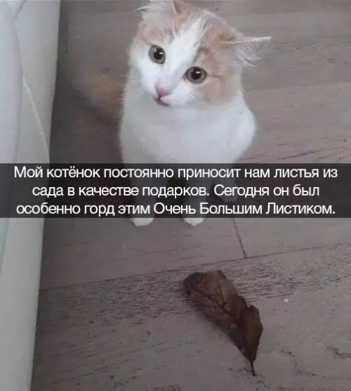 Смешная картинка №669653