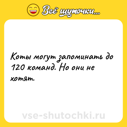 Шутка: Коты могут запоминать до 120 команд. Но они не хотят.