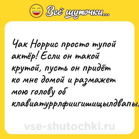 Шутка: Чак Норрис просто тупой актёр! Если он такой крутой, пусть он придёт ко мне домой и размажет мою голову об клавиатуррлфиигишищылдвапылдвйу