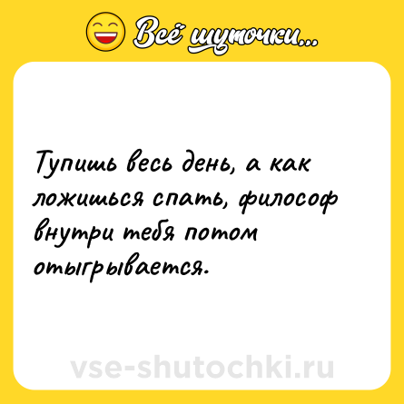Шутка: Тупишь весь день, а как ложишься спать, философ внутри тебя потом отыгрывается.