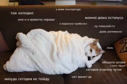 Смешная картинка №336899 Моё типичное состояние 24/7