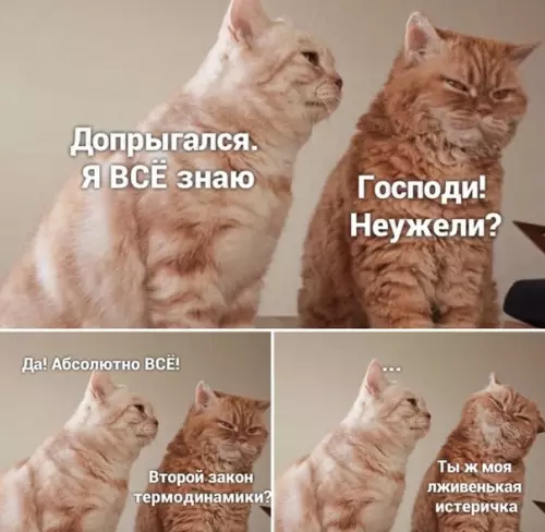 Смешная картинка №493625 И так всегда