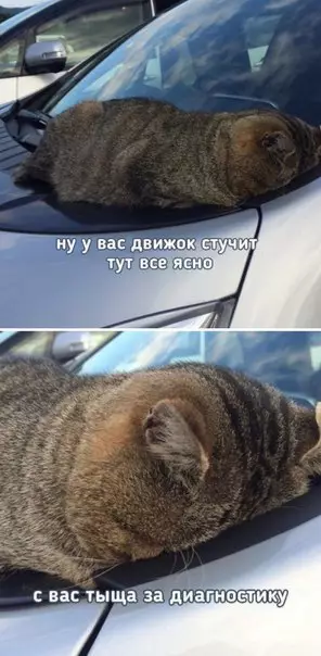 Смешная картинка №259910