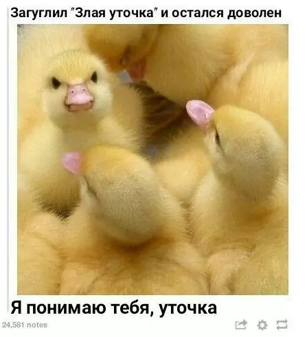 Смешная картинка №273667