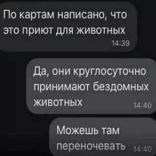 продолжение Смешная картинка №713573 Переписка
