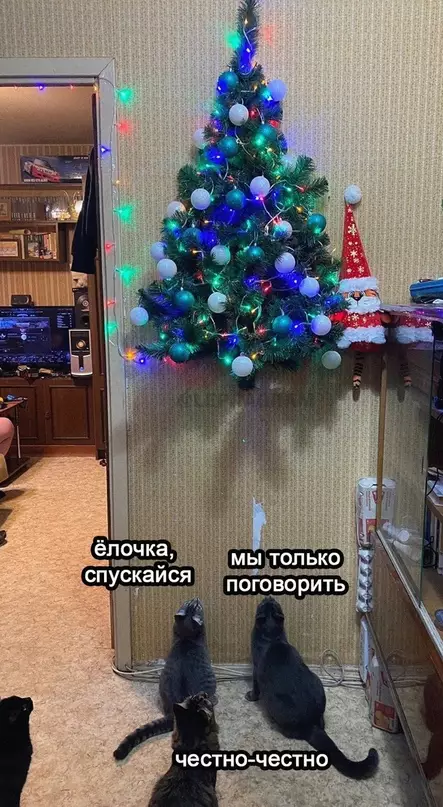 Смешная картинка №670049