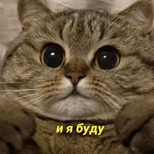 продолжение Смешная картинка №657292