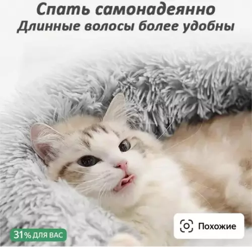 продолжение Смешная картинка №750699 перевод