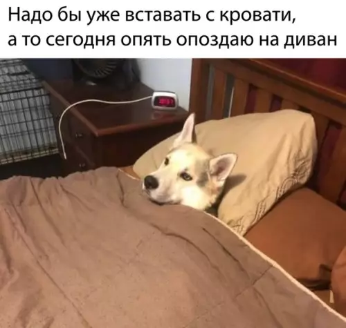 Смешная картинка №489223