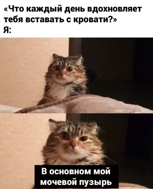 Смешная картинка №465955 Жизa