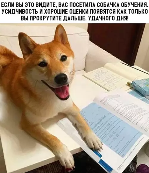 Смешная картинка №319432