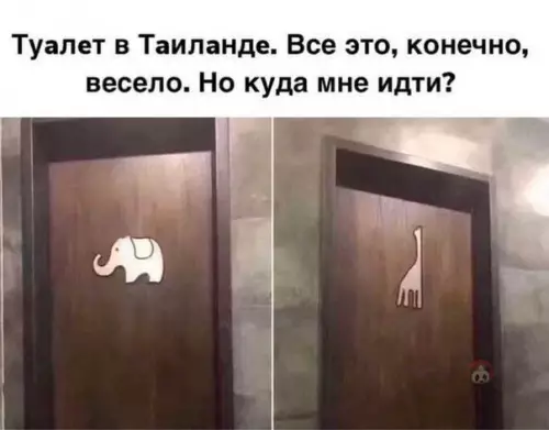 Смешная картинка №516629 Я бы тоже запутался ?