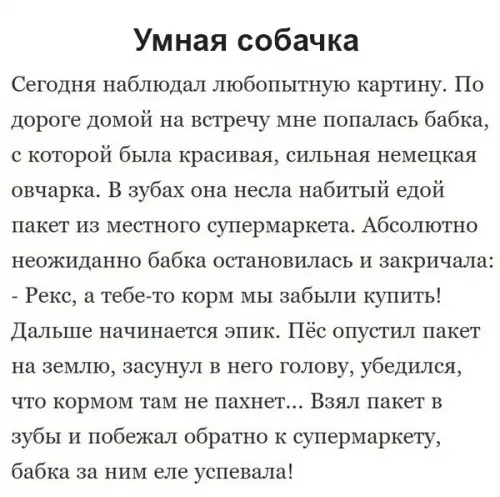Смешная картинка №346690