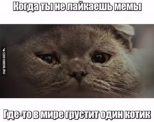 Смешная картинка №178817