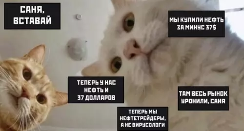 Смешная картинка №488501