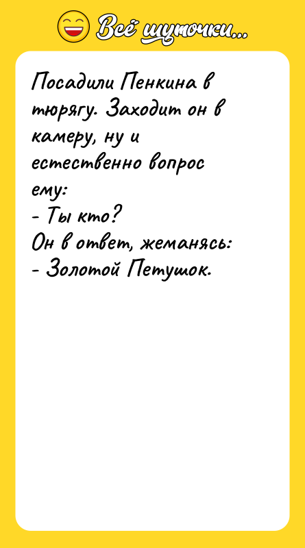 Посадили Пенкина в тюрягу. Заходит он в камеру, ну и