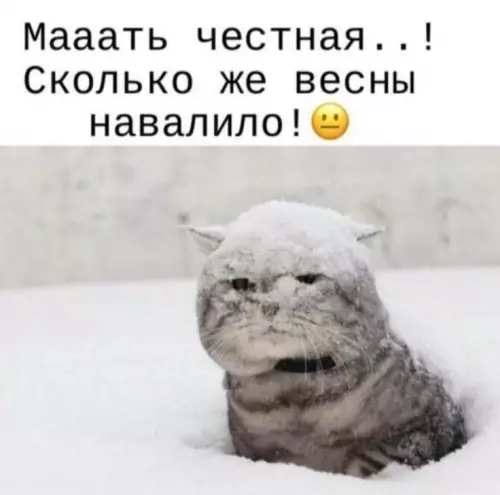 Смешная картинка №805454